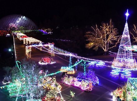 園内のイルミネーション全景
