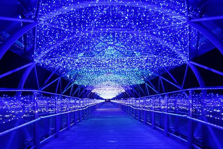 光のトンネルのイルミネーション