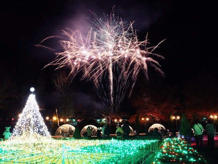 冬花火の打ち上げ